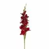 Hot Sale 👏 12 Pack: Burgundy Gladiolus Stem by Ashland® ✨ 1 Hot Sale 👏 12 Pack: Burgundy Gladiolus Stem by Ashland® ✨ -Michaels Store 10451146 1