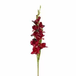 Cheapest ๐ Gladiolus Stem by Ashland® โจ 9 Cheapest ๐ Gladiolus Stem by Ashland® โจ -Michaels Store 10451146