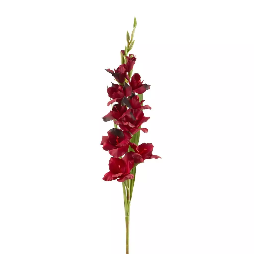 Cheapest ๐ Gladiolus Stem by Ashland® โจ 6 Cheapest ๐ Gladiolus Stem by Ashland® โจ - Image 4