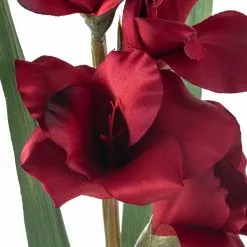 Cheapest ๐ Gladiolus Stem by Ashland® โจ 8 Cheapest ๐ Gladiolus Stem by Ashland® โจ -Michaels Store 10451146 20