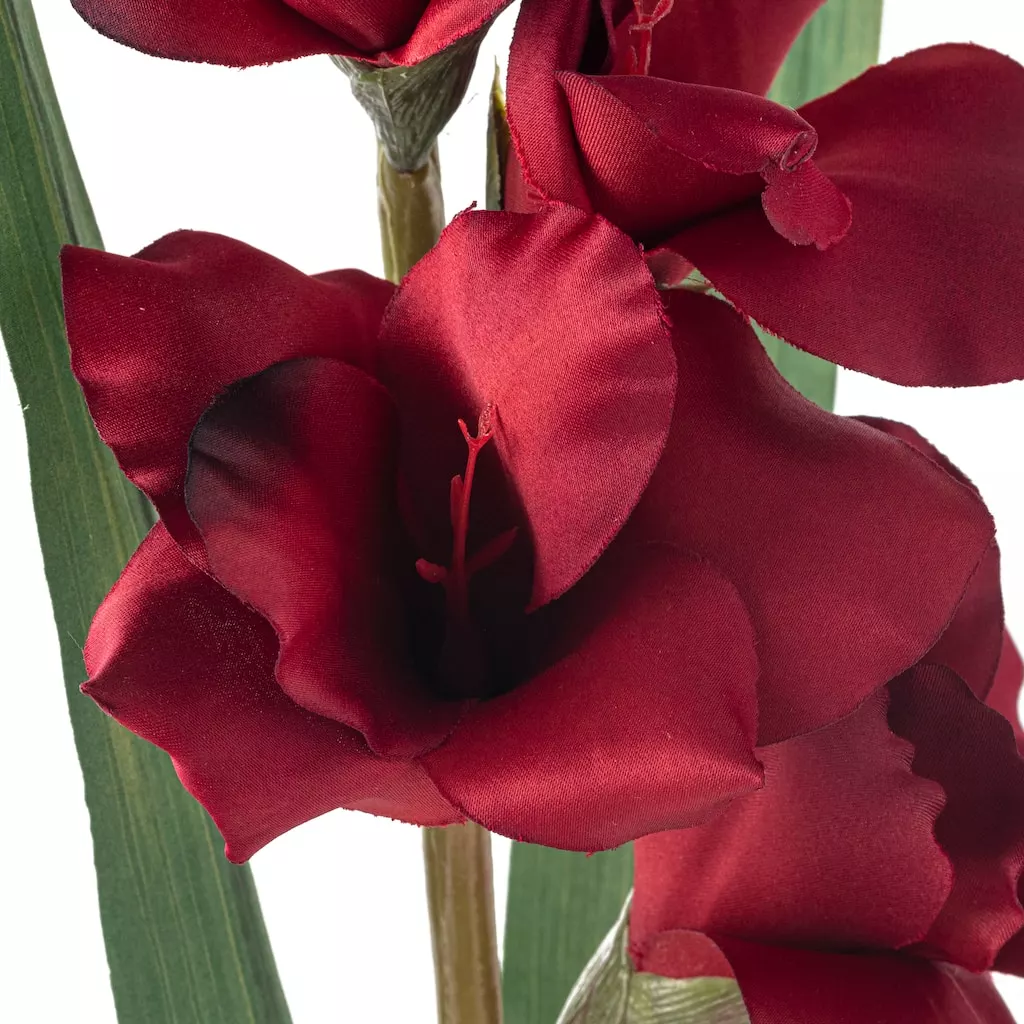 Cheapest ๐ Gladiolus Stem by Ashland® โจ 5 Cheapest ๐ Gladiolus Stem by Ashland® โจ - Image 3