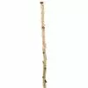 Cheapest 🔥 Ashland® Natural River Birch ⌛