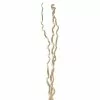 New ⌛ Cream Curly Willow Branch Bundle by Ashland® ⌛ -Michaels Store 10453494 2