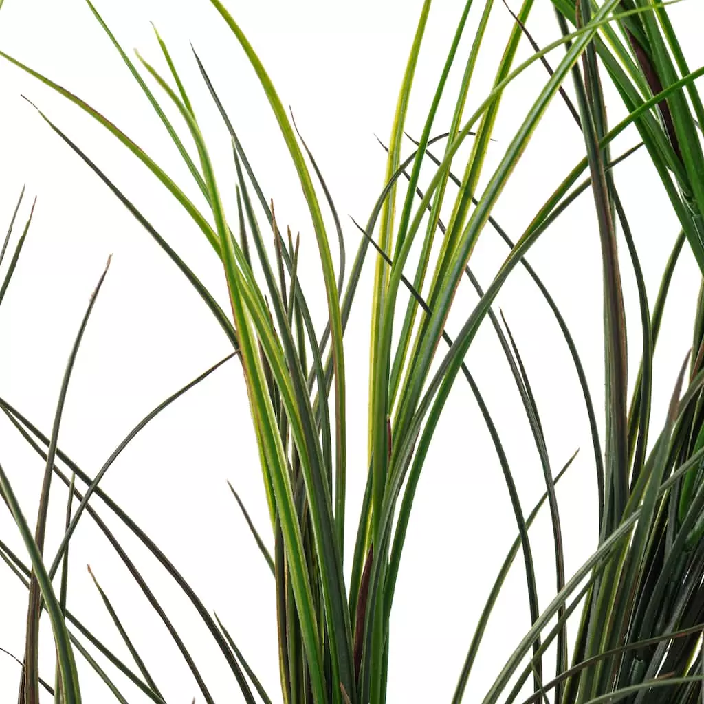 Best deal 👏 Assorted Green Grass Bush by Ashland® 🌟 6 Best deal 👏 Assorted Green Grass Bush by Ashland® 🌟 - Image 4