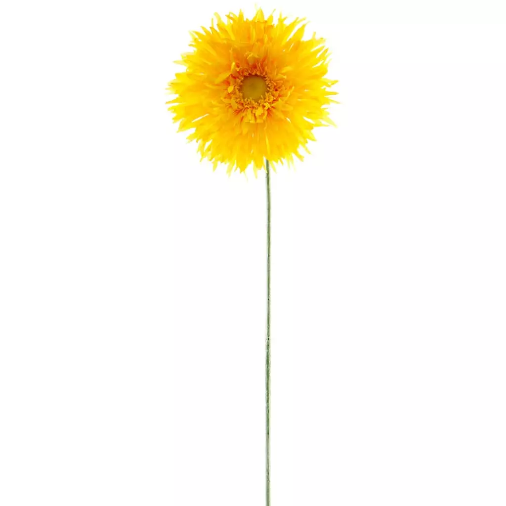Outlet 👏 Jumbo Yellow Spider Gerber Daisy Stem by Ashland® ✨ 3 Outlet 👏 Jumbo Yellow Spider Gerber Daisy Stem by Ashland® ✨