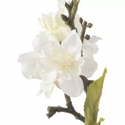 Top 10 ⌛ Cream Blossom Stem by Ashland® 👍 7 Top 10 ⌛ Cream Blossom Stem by Ashland® 👍 -Michaels Store 10461195 20