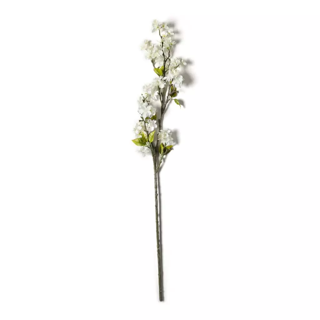 Top 10 ⌛ Cream Blossom Stem by Ashland® 👍 3 Top 10 ⌛ Cream Blossom Stem by Ashland® 👍