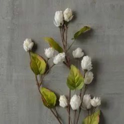 Best reviews of 😀 Cream Hops Spray by Ashland® 🔔 -Michaels Store 10461196 25