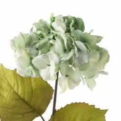 Top 10 ✨ Sea Foam Green Hydrangea Stem By Ashland® 😍 -Michaels Store 10461200 20