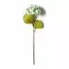 Top 10 โจ Sea Foam Green Hydrangea Stem By Ashland® ๐ 2 Top 10 โจ Sea Foam Green Hydrangea Stem By Ashland® ๐ -Michaels Store 10461200 21