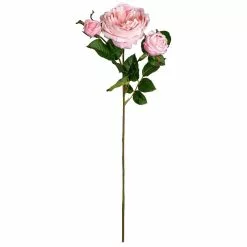 Hot Sale 🛒 Light Pink English Rose Stem by Ashland® ⭐