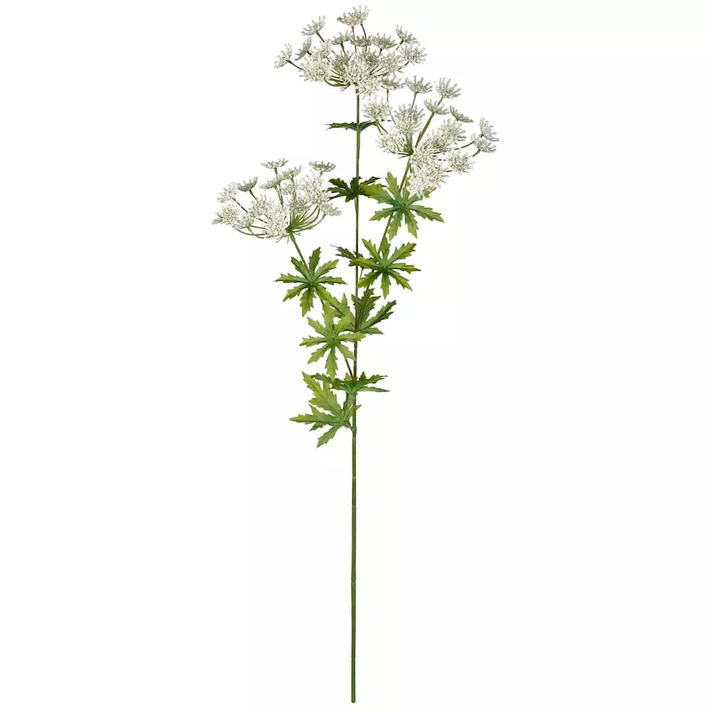 Flash Sale ✨ 12 Pack: White Queen Anne's Lace Spray by Ashland® ✨ 3 Flash Sale ✨ 12 Pack: White Queen Anne's Lace Spray by Ashland® ✨