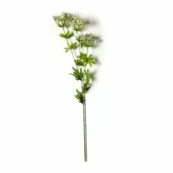Discount 🎁 White Queen Anne's Lace Spray by Ashland® 🎉
