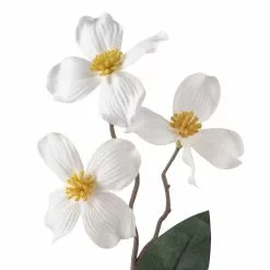 Cheap 🔥 White Mini 🤩 Dogwood Stem by Ashland® ⭐ -Michaels Store 10461654 20