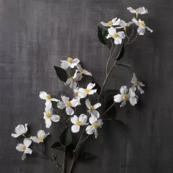 Cheap 🔥 White Mini 🤩 Dogwood Stem by Ashland® ⭐ -Michaels Store 10461654 22