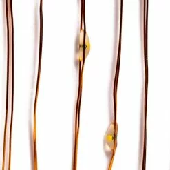 Best Pirce 💯 12 Pack: 40ct. Warm White Copper Wire LED String Lights by Ashland® 😉 9 Best Pirce 💯 12 Pack: 40ct. Warm White Copper Wire LED String Lights by Ashland® 😉 -Michaels Store 10473563 3 1