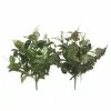 Best reviews of โจ 8 Pack: Assorted Mixed Greenery Bush by Ashland® ๐ 1 Best reviews of โจ 8 Pack: Assorted Mixed Greenery Bush by Ashland® ๐ -Michaels Store 10482176 1