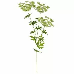New 👏 12 Pack: Light Green Queen Anne's Lace Spray by Ashland® 🎁
