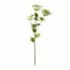 Best deal ⭐ Queen Anne's Lace Spray by Ashland® 🔔
