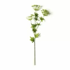 Best deal ⭐ Queen Anne's Lace Spray by Ashland® 🔔
