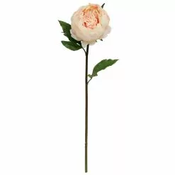 Cheap ⭐ King Peony Stem By Ashland® 🔥