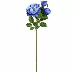 Coupon ✔️ Blue English Rose Stem by Ashland® ✔️ -Michaels Store 10501503