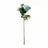 Cheapest 🤩 Teal English Rose Stem by Ashland® ⌛ -Michaels Store 10501506 21