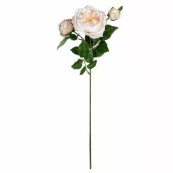 Best deal ✨ Toast English Rose Stem by Ashland® 🌟