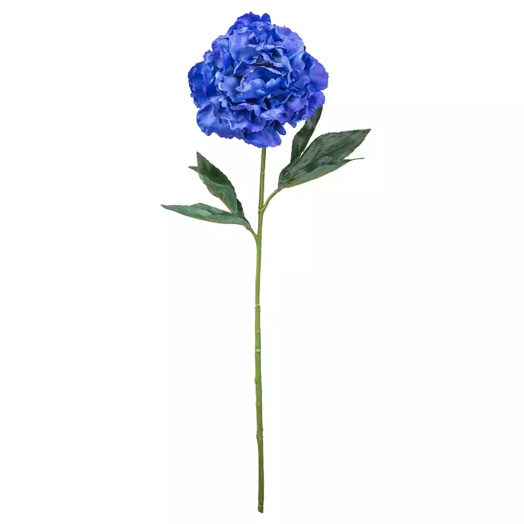 New β Peony Stem by Ashland® π 3 New β Peony Stem by Ashland® π