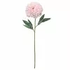 Promo 👍 12 Pack: Light Pink Peony Stem by Ashland® ✨