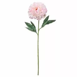 Promo 👍 12 Pack: Light Pink Peony Stem by Ashland® ✨
