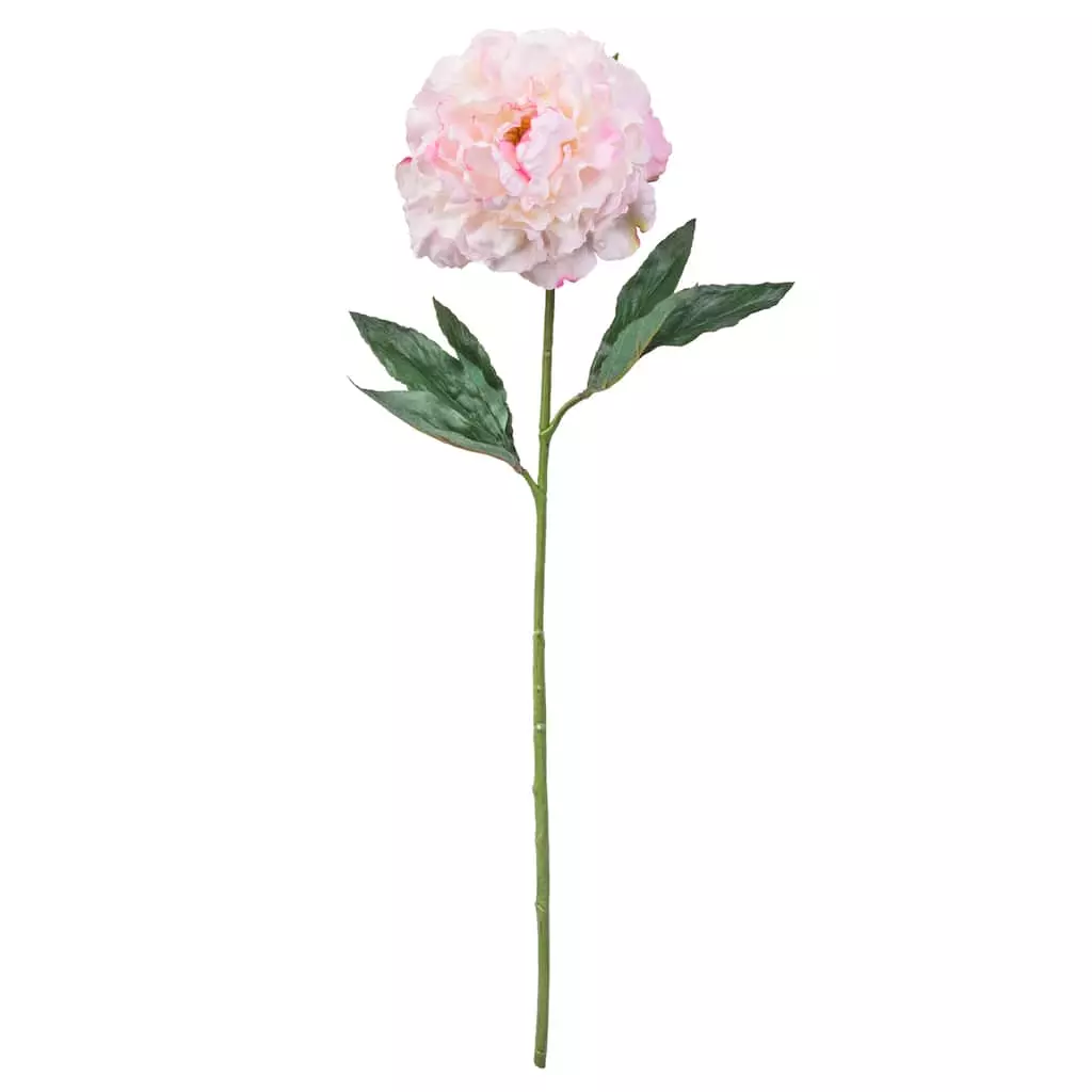 Promo 👍 12 Pack: Light Pink Peony Stem by Ashland® ✨ 3 Promo 👍 12 Pack: Light Pink Peony Stem by Ashland® ✨