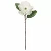 Cheapest 😍 White Magnolia Stem by Ashland® 😉 -Michaels Store 10501956