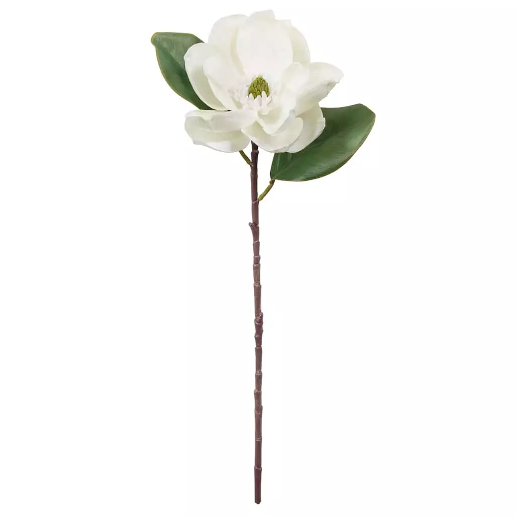 Cheapest 😍 White Magnolia Stem by Ashland® 😉 3 Cheapest 😍 White Magnolia Stem by Ashland® 😉
