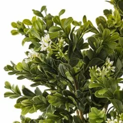Coupon ❤️ Boxwood & Berry Bush by Ashland® ⌛ -Michaels Store 10546917 20