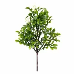 Coupon 🎉 24 Pack: Green Boxwood Pick by Ashland® 😉