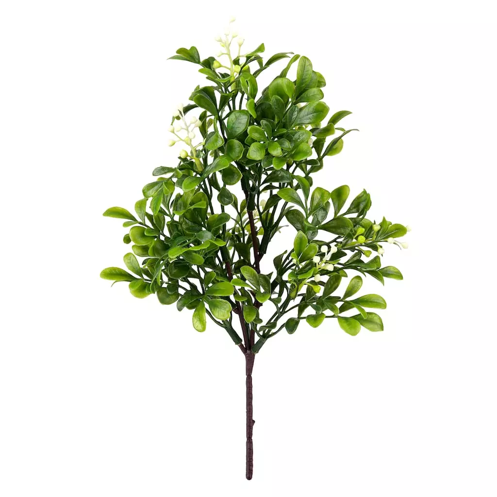 Coupon π 24 Pack: Green Boxwood Pick by Ashland® π 3 Coupon π 24 Pack: Green Boxwood Pick by Ashland® π