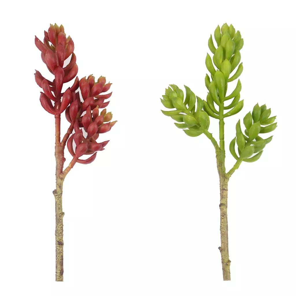 Flash Sale ⭐ 24 Pack: Assorted 3 Head Succulent Pick by Ashland® ⌛ 3 Flash Sale ⭐ 24 Pack: Assorted 3 Head Succulent Pick by Ashland® ⌛