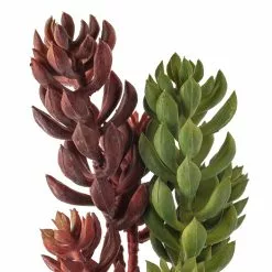 Brand new ✨ Assorted Succulent Pick with 3 Heads By Ashland® 🧨 -Michaels Store 10546921 20
