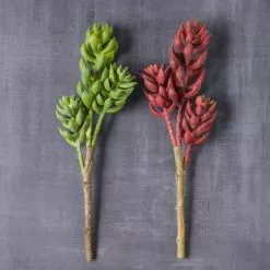 Brand new ✨ Assorted Succulent Pick with 3 Heads By Ashland® 🧨 -Michaels Store 10546921 22