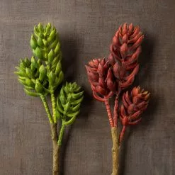 Brand new ✨ Assorted Succulent Pick with 3 Heads By Ashland® 🧨 -Michaels Store 10546921 25