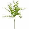 Coupon 🤩 Assorted Fern Pick By Ashland® 🥰 -Michaels Store 10546923 1