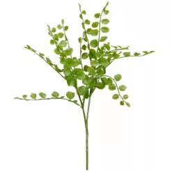 Coupon 🤩 Assorted Fern Pick By Ashland® 🥰