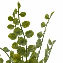 Coupon 🤩 Assorted Fern Pick By Ashland® 🥰 -Michaels Store 10546923 20