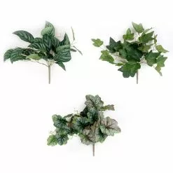 Best reviews of 🎁 Assorted Ivy Leaf Pick By Ashland™ 🛒