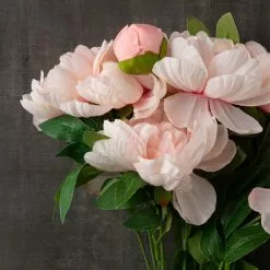 New 💯 Coral Peony Bush by Ashland® ⭐ -Michaels Store 10547347 25