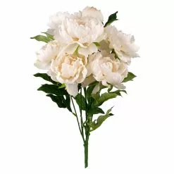 Best Sale ⭐ Cream Peony Bush by Ashland® 😉