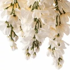 Wholesale 💯 Cream Wisteria Bush by Ashland® 🥰 -Michaels Store 10547398 20