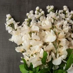 Wholesale 💯 Cream Wisteria Bush by Ashland® 🥰 -Michaels Store 10547398 25