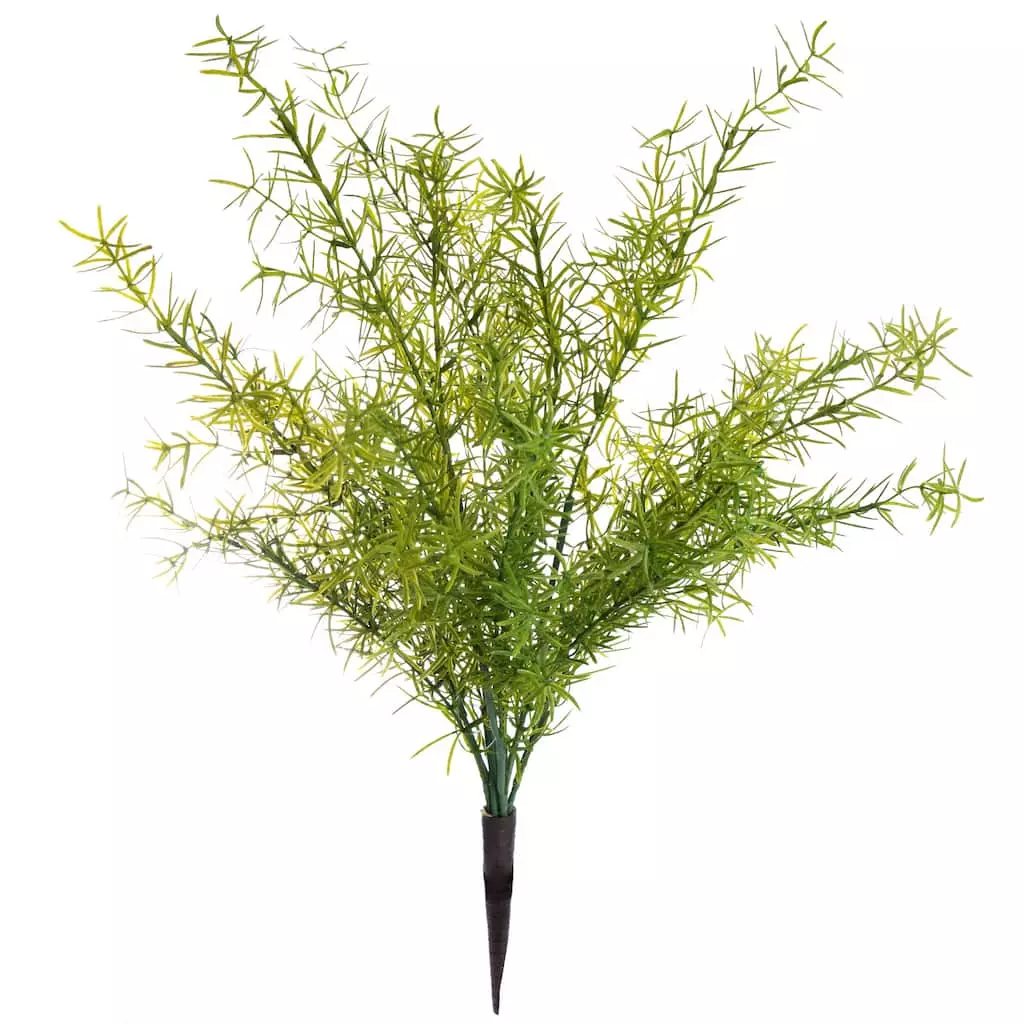 Buy 👍 Springeri Bush by Ashland® 🥰 3 Buy 👍 Springeri Bush by Ashland® 🥰
